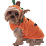 64859-Pumpkin-Pet-Costume-large