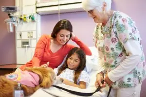 Therapy dogs