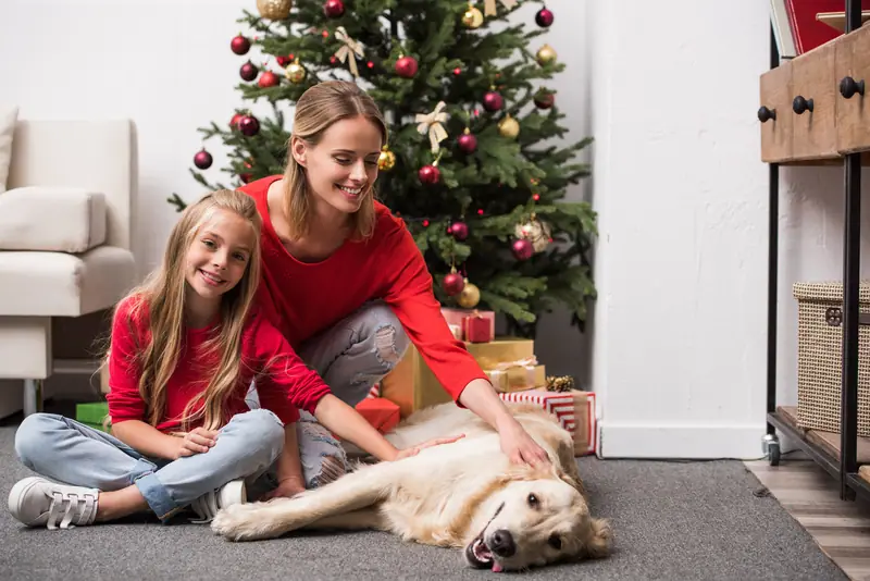 Mother and daughter petting a golden retriever by Christmas tree