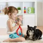 Little girl sitting with a small black and tan dog indoors