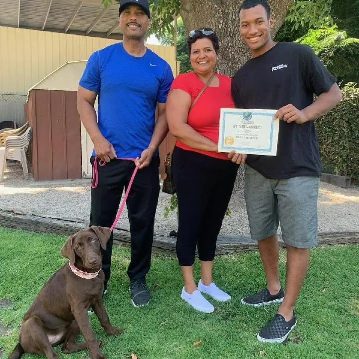 Dog training gallery image 50