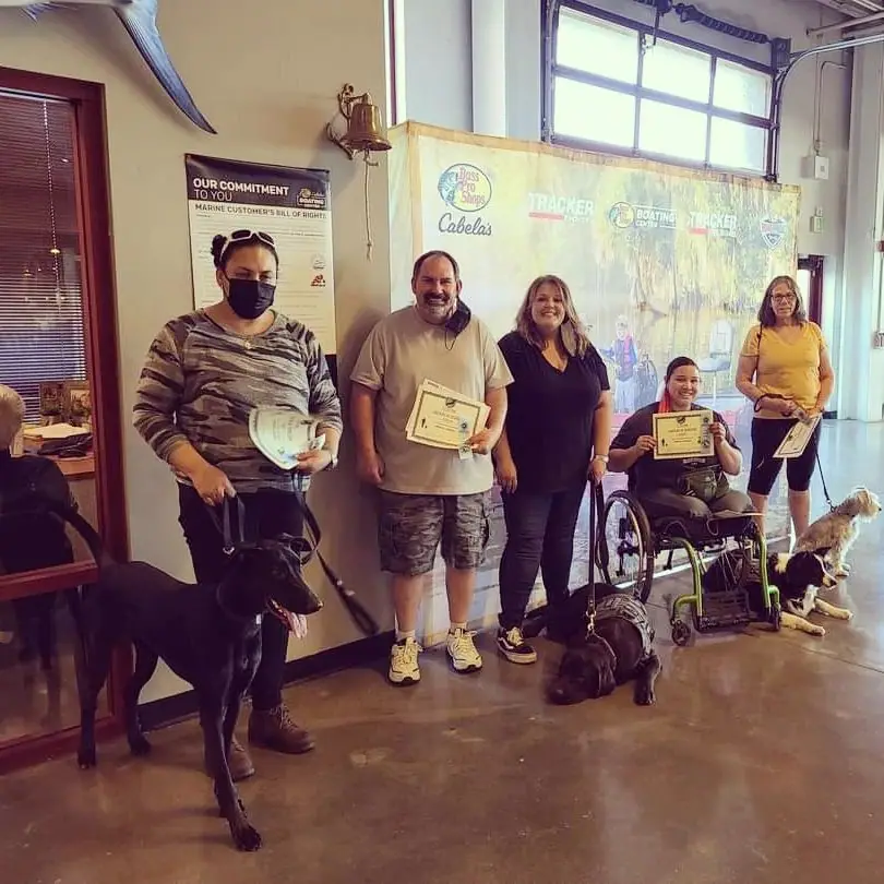 Dog training gallery image 46