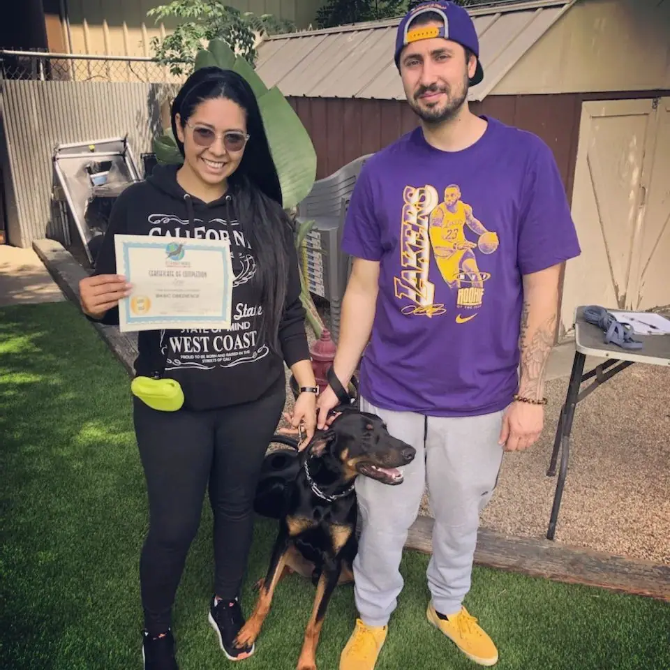 Dog training gallery image 32