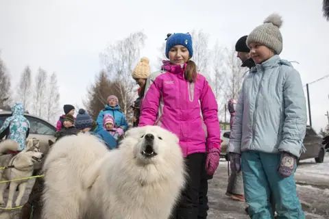 Dog training gallery image 22