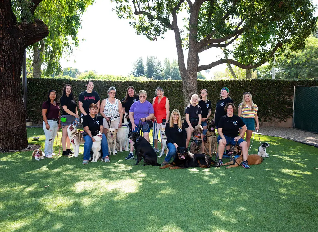Dogs and trainers at It’s A Dog’s World
