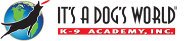It’s A Dog’s World Announces New Service Training Program and Welcomes Expert Trainer